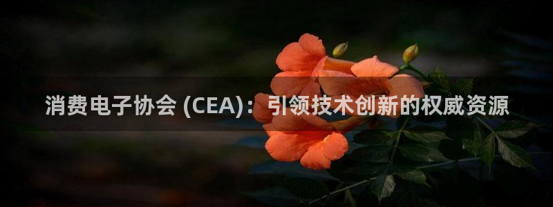 凯发天生赢家一触即发官网|消费电子协会 (CEA)：引领技术创新的权威资源