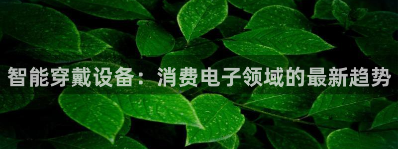 凯发ag旗舰店官网|智能穿戴设备：消费电子领域的最新趋势