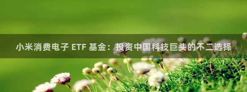 凯发k8官网下载客户端中心|小米消费电子 ETF 基金：投资中国科技巨头的不二选择