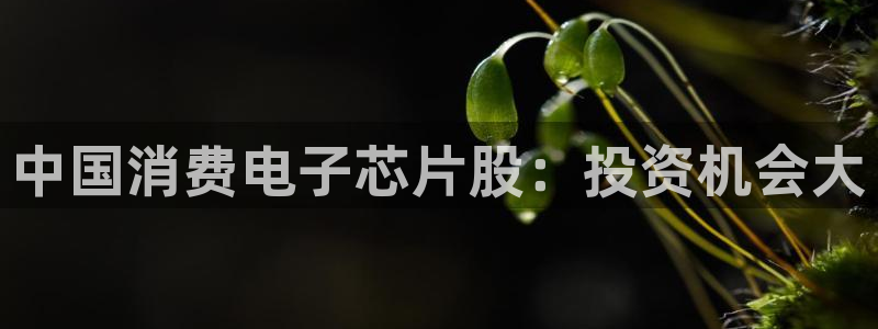 凯发官网首页|中国消费电子芯片股：投资机会大